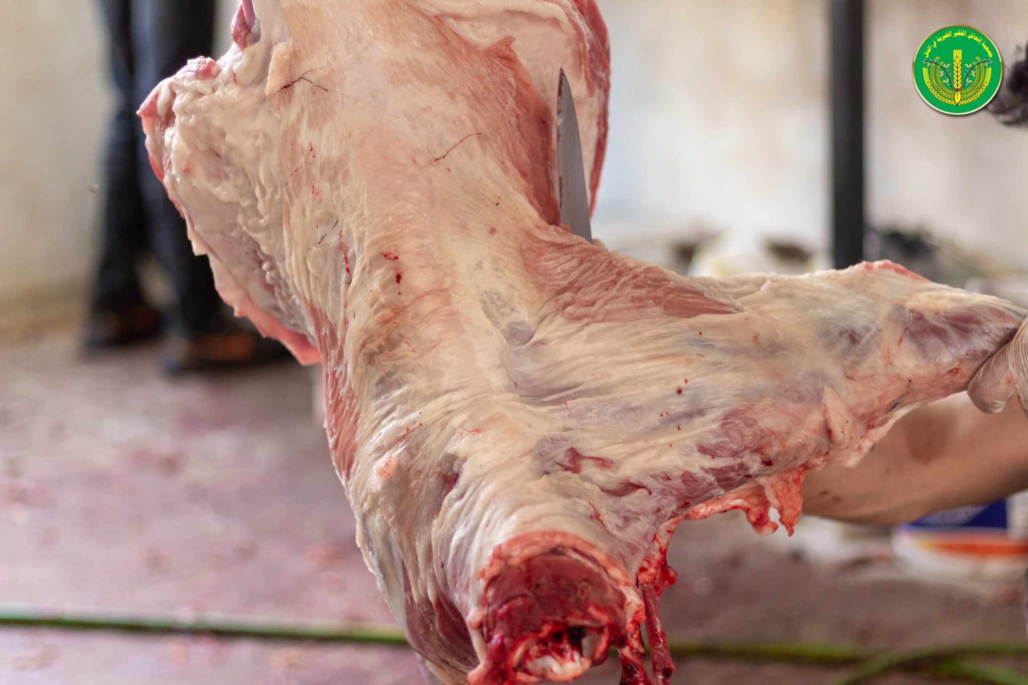 قامت جمعية إنعاش الفقير الخيرية بتوزيع " 4502 " قطعة لحم.